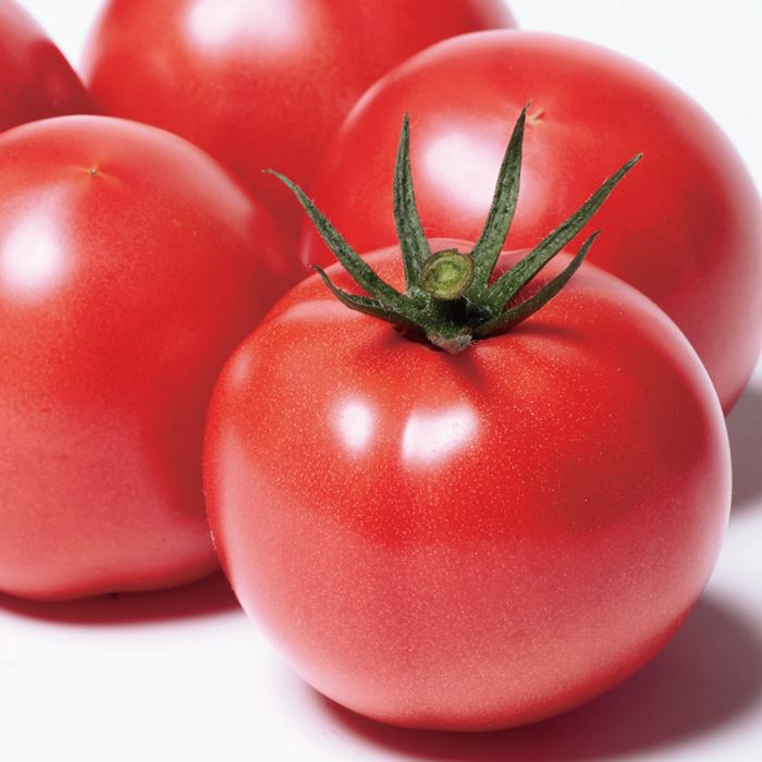 多様な野菜種子のイメージ