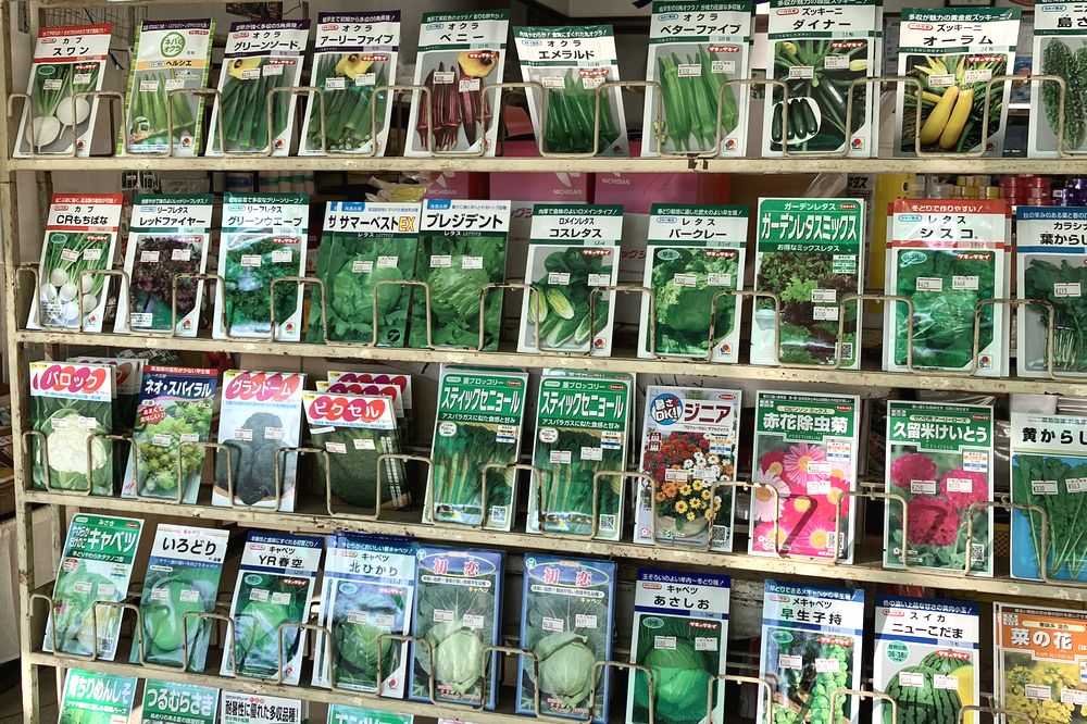 種苗販売