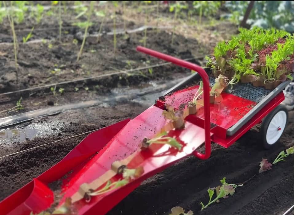 ひっぱりくん HP-16 ネギ定植機