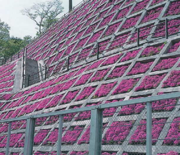 のり面が芝桜で美しく緑化された風景